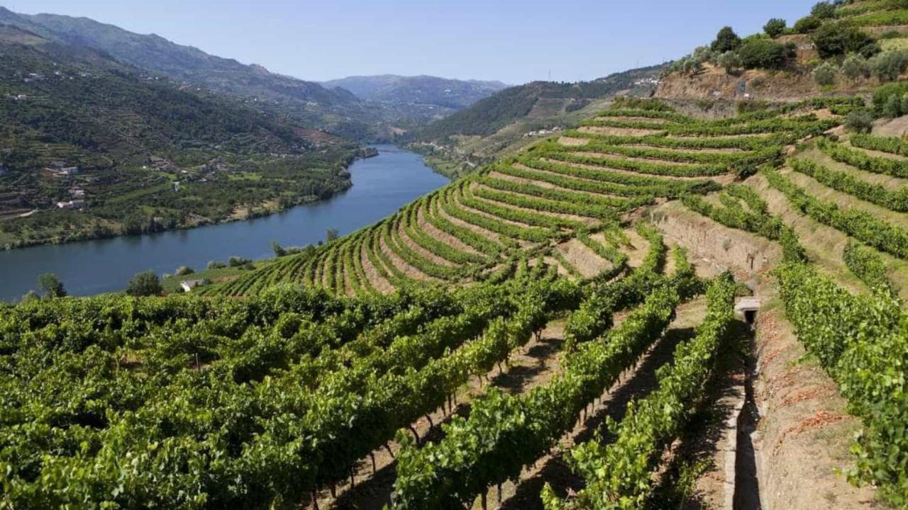 Quinta Da Gandarela