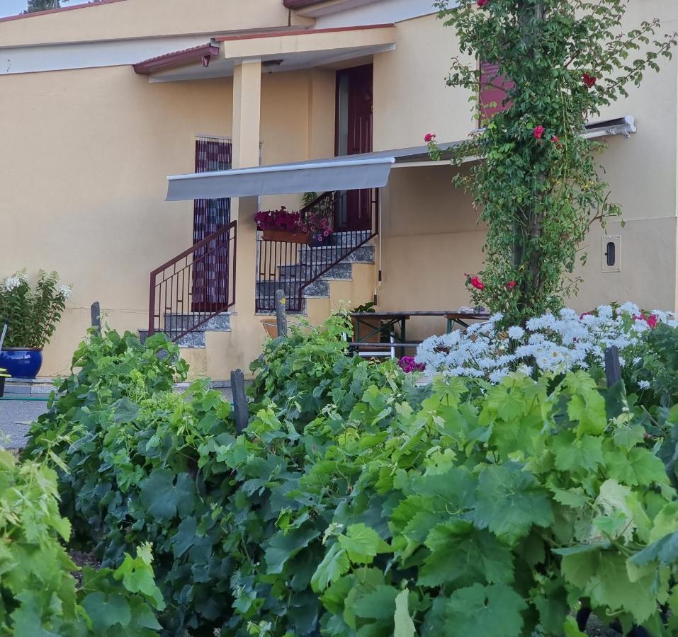 Quinta Da Gandarela Holiday home *