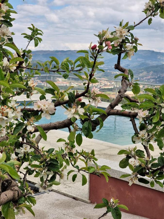 Quinta Da Gandarela Holiday home Tarouca